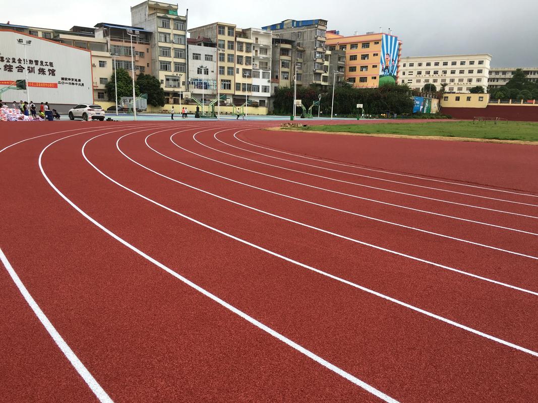果洛藏族自治州塑胶跑道塑胶跑道材料 - 厂家